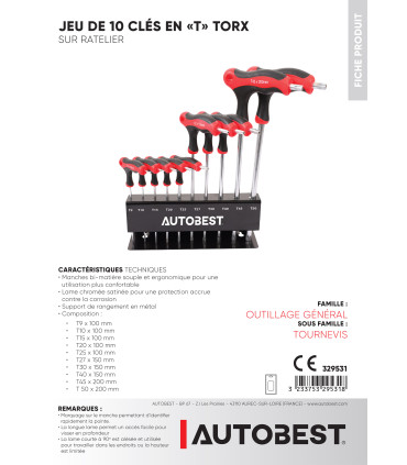 Jeu de 10 clés en «T» Torx sur râtelier