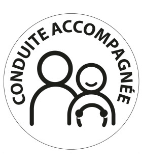 Conduite accompagnée électrostatique