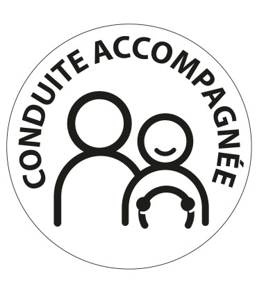 Conduite accompagnée électrostatique