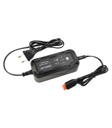 Chargeur et maintien de charge auto 6/12v 1a