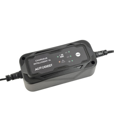 Chargeur et maintien de charge auto 6/12v 1a