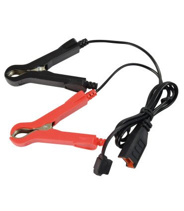 Chargeur et maintien de charge auto 6/12v 1a