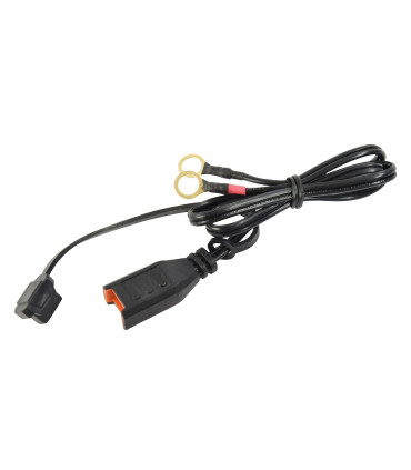 Chargeur et maintien de charge auto 6/12v 1a